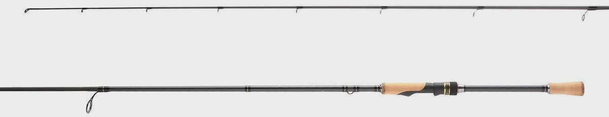 Intenza A Spinning Rods